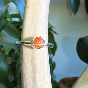 Slice orange tiger eye ring-serena kojimoto studio