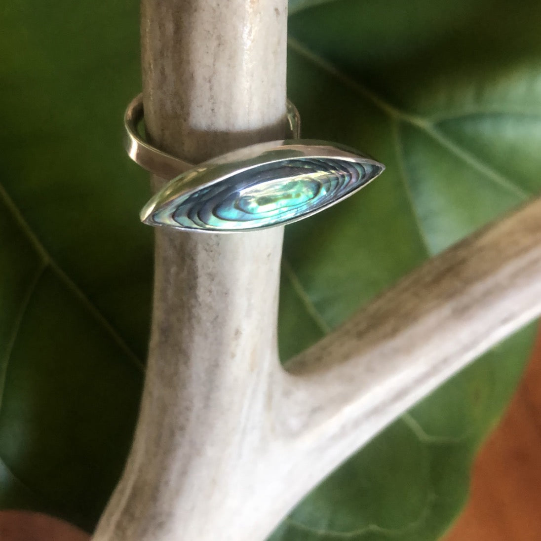 sideways marquise abalone ring-serena kojimoto studio